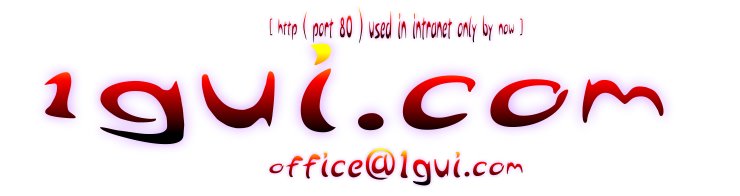 logo www.1gui.com